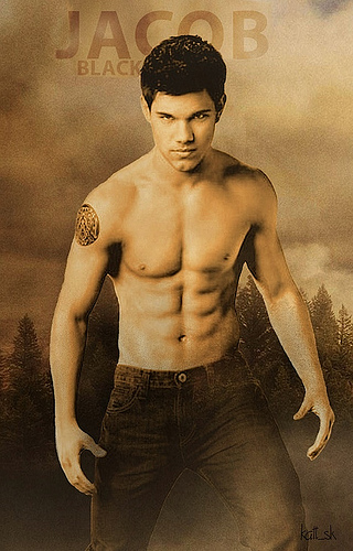  of times Taylor Lautner took off his shirt during the Twilight movies.